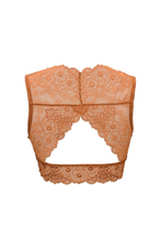 Elegant Lace Lagoon Style Bralette With Back - Tech Haul
