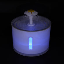 Automatic Electric Pet Drinking Fountain