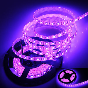 16 Ft 5M RGB White Blue 300 5050 LED Flexible Light Strip Lamp Waterproof DC 12V